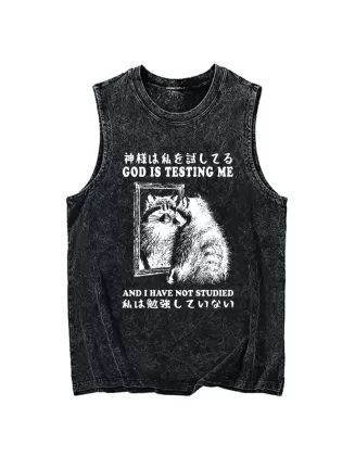 Raccoon Not Studied Washed Tank