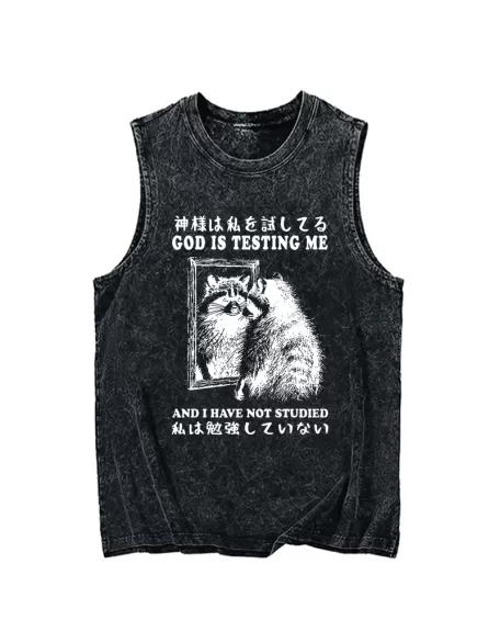 Raccoon Not Studied Washed Tank