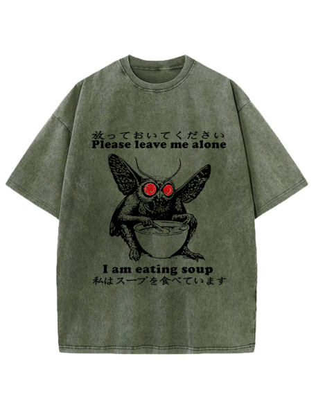 Don't Bother The Mothman Washed T-Shirt
