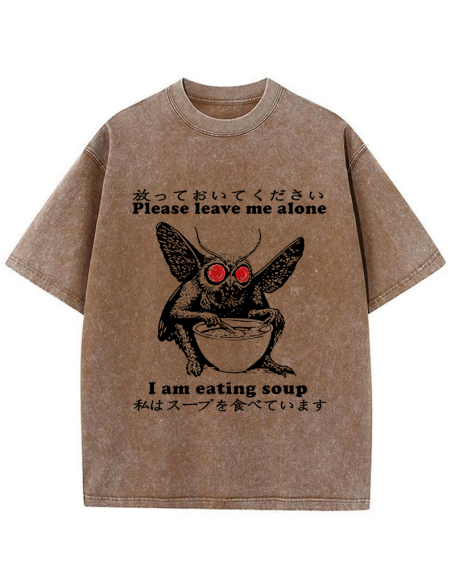 Don't Bother The Mothman Washed T-Shirt
