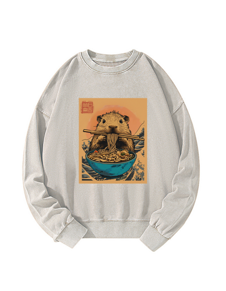 Opossum Eats Ramen Washed Sweatshirt