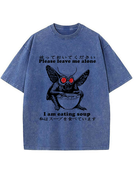 Don't Bother The Mothman Washed T-Shirt