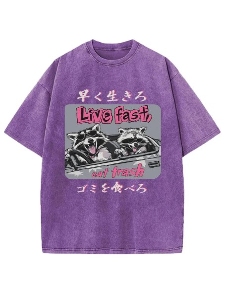 Live Fast Eat Trash Raccoon Japanese Washed T-Shirt