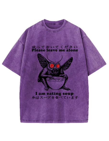 Don't Bother The Mothman Washed T-Shirt
