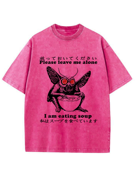 Don't Bother The Mothman Washed T-Shirt