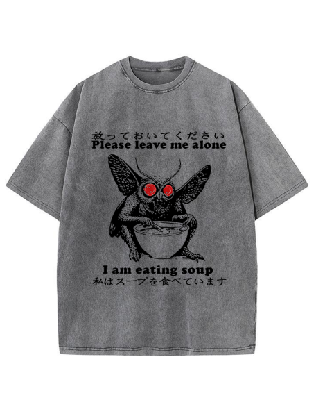 Don't Bother The Mothman Washed T-Shirt