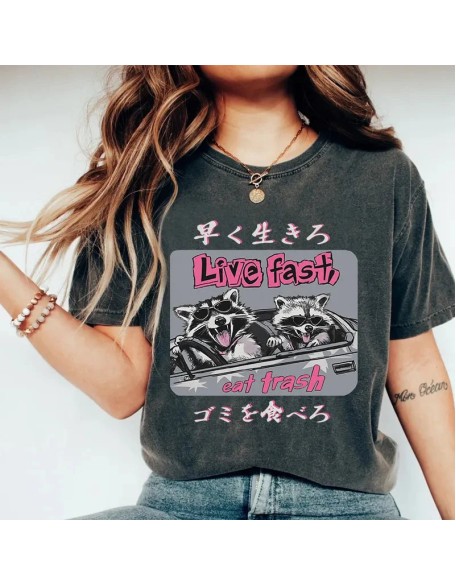 Live Fast Eat Trash Raccoon Japanese Washed T-Shirt