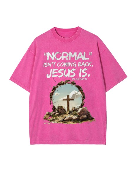 Normal Isn't Coming Back Christian Washed T-Shirt
