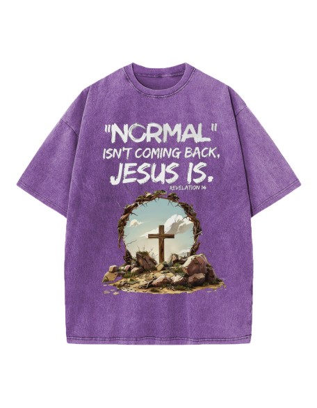 Normal Isn't Coming Back Christian Washed T-Shirt