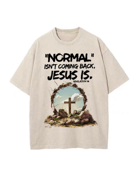 Normal Isn't Coming Back Christian Washed T-Shirt